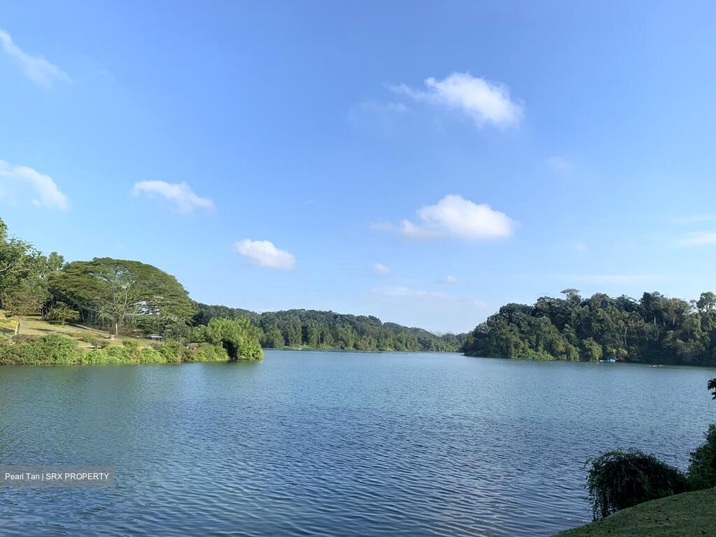 Caldecott Hill Estate (D11), Detached #609594871